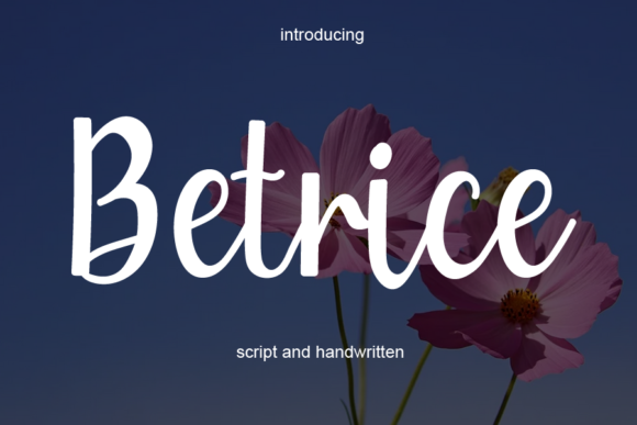 Betrice Script Font Review: Adding Luxury Spark to Web Designs