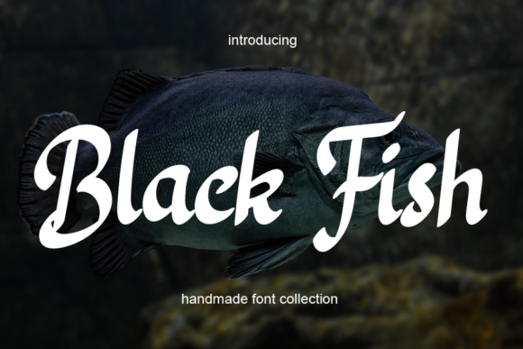 Black Fish Typeface Review: A Playful Script for Modern Brand Identity