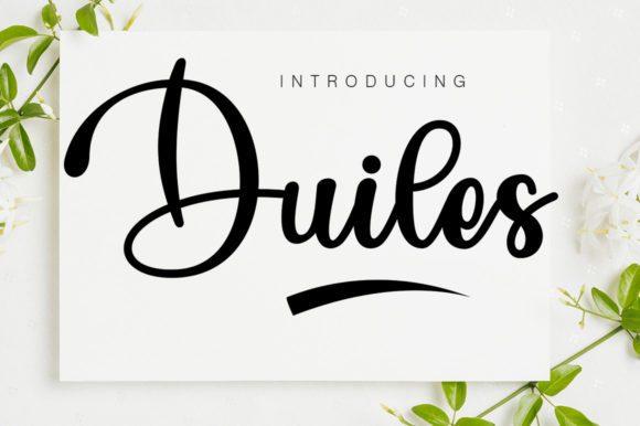 Duiles Script Review: A Designer’s Take on Real-World Application