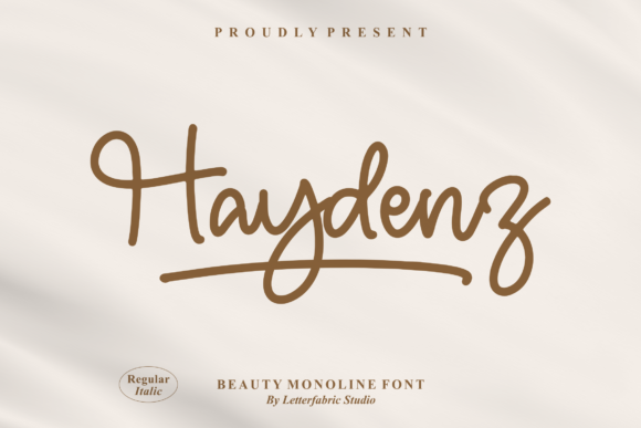 Haydenz: A Designer’s Honest Review for Real Projects