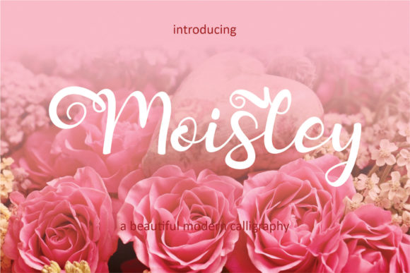 Moisley Typeface Review: Adding Whimsy to Editorial Design