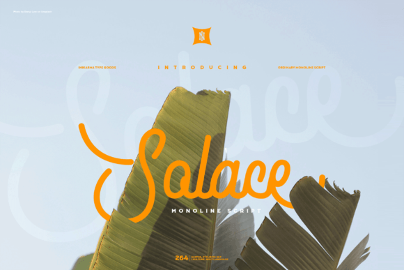 Solace: A Monoline Script Typeface for Modern Brand Identity