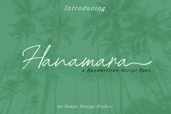 Upgrade Your Brand Identity With the Hanamara Script Typeface