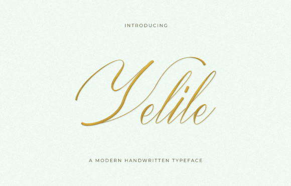 Velile: The Script Typeface That Elevates Campaign Visuals